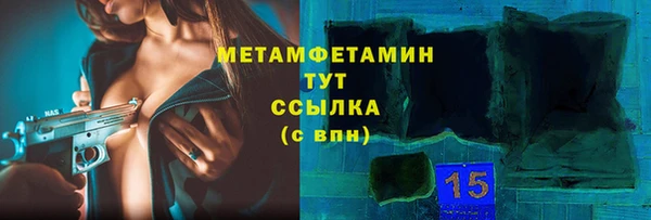 прущие грибы Касимов