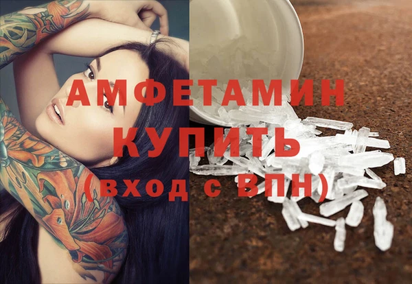 прущие грибы Касимов