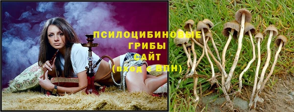 apvp Карталы