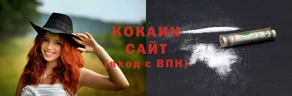 прущие грибы Касимов