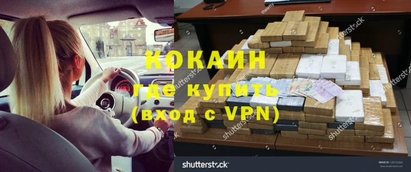 прущие грибы Касимов