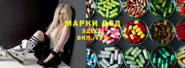 прущие грибы Касимов